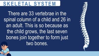 There are 33 vertebrae in the
spinal column of a child and 26 in
an adult. This is so because as
the child grows, the last seven
bones join together to form just
two bones.
SKELETAL SYSTEM
 