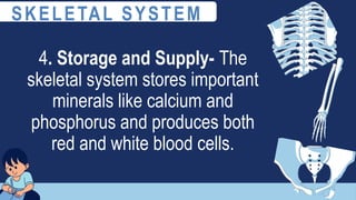4. Storage and Supply- The
skeletal system stores important
minerals like calcium and
phosphorus and produces both
red and white blood cells.
SKELETAL SYSTEM
 