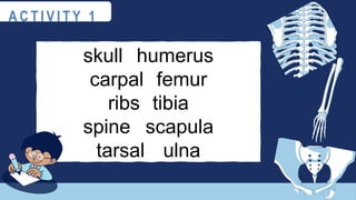 skull humerus
carpal femur
ribs tibia
spine scapula
tarsal ulna
A C T I V I T Y 1
 