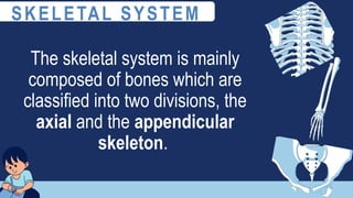 The skeletal system is mainly
composed of bones which are
classified into two divisions, the
axial and the appendicular
skeleton.
SKELETAL SYSTEM
 