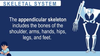 The appendicular skeleton
includes the bones of the
shoulder, arms, hands, hips,
legs, and feet.
SKELETAL SYSTEM
 