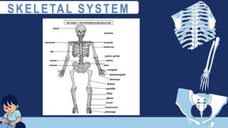 SKELETAL SYSTEM
 