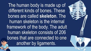 The human body is made up of
different kinds of bones. These
bones are called skeleton. The
human skeleton is the internal
framework of the body. The adult
human skeleton consists of 206
bones that are connected to one
another by ligaments.
 