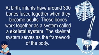 At birth, infants have around 300
bones fused together when they
become adults. These bones
work together as a system called
a skeletal system. The skeletal
system serves as the framework
of the body.
 