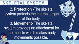 2. Protection -The skeletal
system protects the internal organ
of the body.
3. Movement- The skeletal
system provides an attachment for
the muscle which makes body
movements possible.
SKELETAL SYSTEM
 