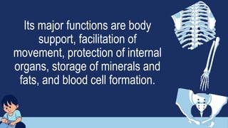 Its major functions are body
support, facilitation of
movement, protection of internal
organs, storage of minerals and
fats, and blood cell formation.
 