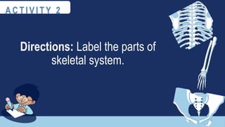 Directions: Label the parts of
skeletal system.
A C T I V I T Y 2
 