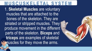 1. Skeletal Muscles are voluntary
muscles that are attached to the
bones of the skeleton. They are
striated or stripped muscles. They
produce movement in the different
parts of the skeleton. Biceps and
triceps are examples of skeletal
muscles for they move the arms.
MUSCUSKELETAL SYSTEM
 