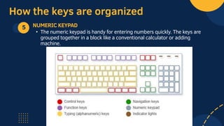 How the keys are organized
5 NUMERIC KEYPAD
• The numeric keypad is handy for entering numbers quickly. The keys are
grouped together in a block like a conventional calculator or adding
machine.
 