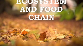ECOSYSTEM
AND FOOD
CHAIN
 