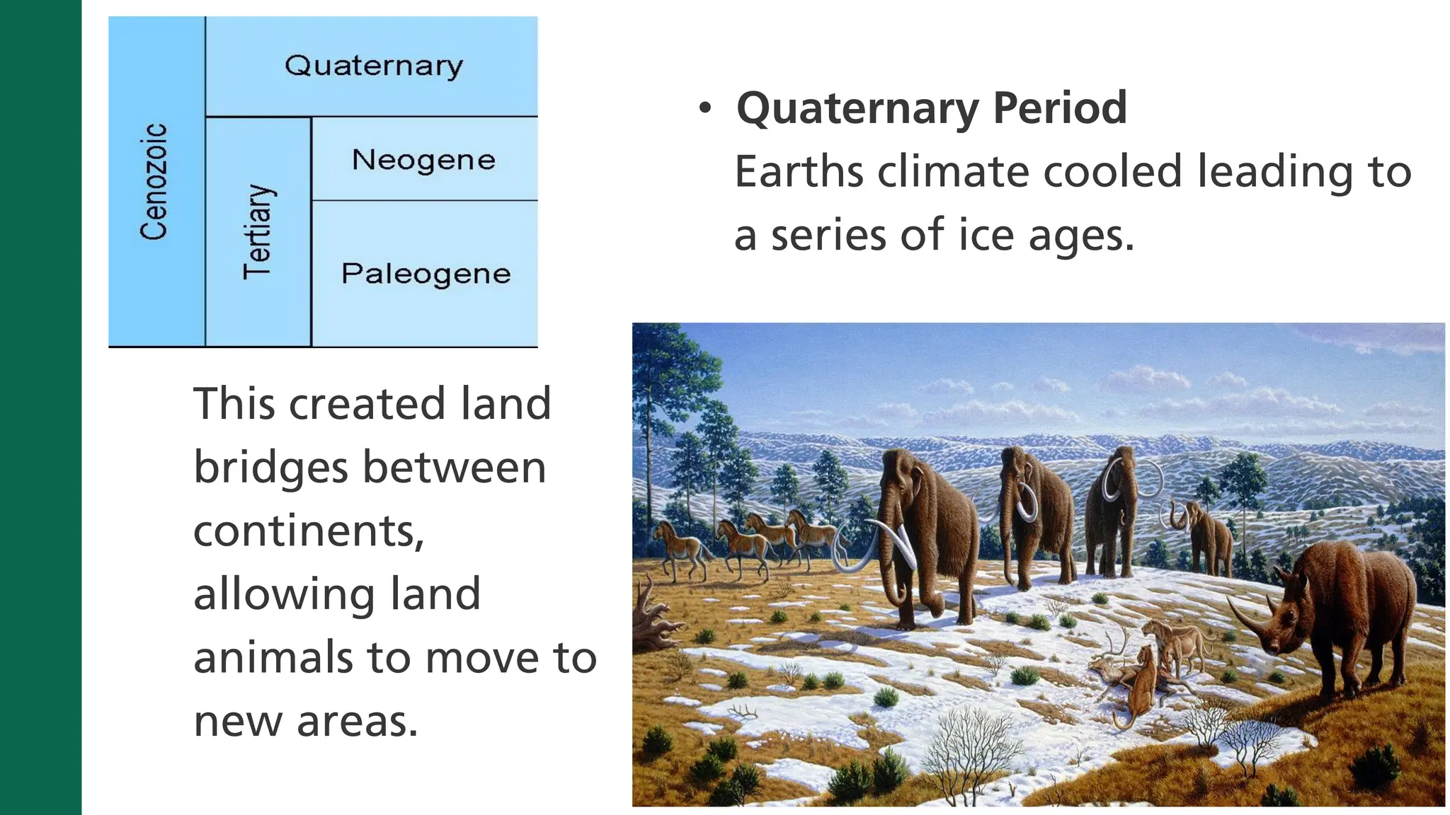 Q3-Lesson-2-History-of-Life-on-Earth.pdf