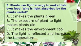 5. Plants use light energy to make their
own food. Why is light absorbed by the
plants useful?
A. It makes the plants green.
B. The exposure of plant to light
makes plants die
C. It makes the environment cool
D. The light is reflected and increases
the temperature
 