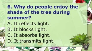 6. Why do people enjoy the
shade of the tree during
summer?
A. It reflects light.
B. It blocks light.
C. It absorbs light.
D. It transmits light.
 