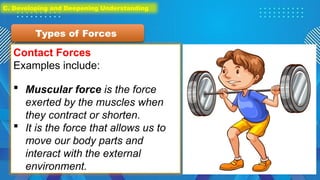 Contact Forces
Examples include:
 Muscular force is the force
exerted by the muscles when
they contract or shorten.
 It is the force that allows us to
move our body parts and
interact with the external
environment.
Types of Forces
C. Developing and Deepening Understanding
 