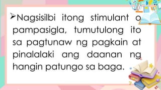 Nagsisilbi itong stimulant o
pampasigla, tumutulong ito
sa pagtunaw ng pagkain at
pinalalaki ang daanan ng
hangin patungo sa baga.
 