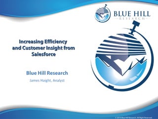 Enterprise-caliber Cloud BI 
IInnccrreeaassiinngg EEffffiicciieennccyy 
aanndd CCuussttoommeerr IInnssiigghhtt ffrroomm 
SSaalleessffoorrccee 
Blue Hill Research 
James Haight, Analyst 
 