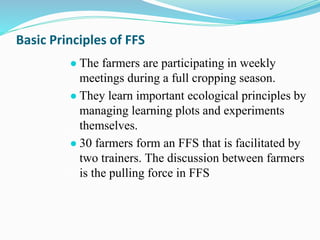 Basic Principles of FFS
● The farmers are participating in weekly
meetings during a full cropping season.
● They learn important ecological principles by
managing learning plots and experiments
themselves.
● 30 farmers form an FFS that is facilitated by
two trainers. The discussion between farmers
is the pulling force in FFS
 