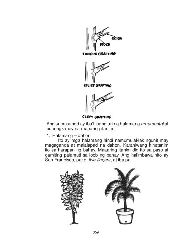 Featured image of post Pangalan Halamang Ornamental Drawing Easy Savesave halamang ornamental pptx for later