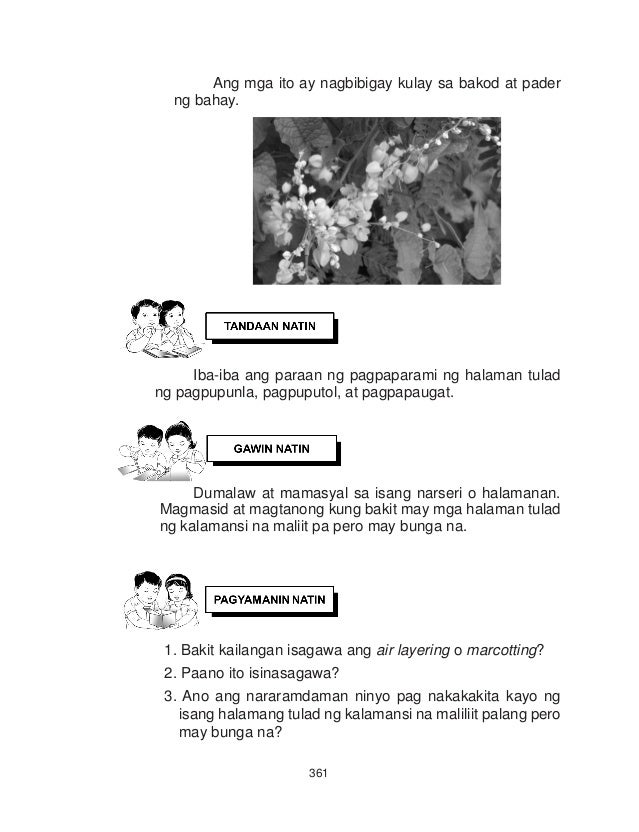 Bakit Kailangan Isagawa Ang Air Layering O Marcotting Q3 epp agri v2