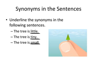 Synonyms in the Sentences
• Underline the synonyms in the
following sentences.
– The tree is little.
– The tree is tiny.
– The tree is small.
 