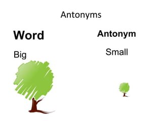 Antonyms
Word Antonym
Big Small
 