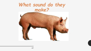 207
What sound do they
make?
 