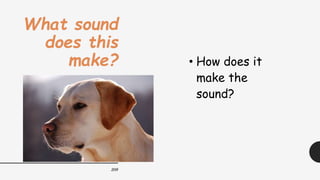 208
What sound
does this
make? • How does it
make the
sound?
 