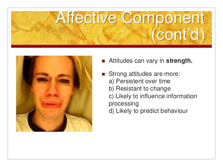Q3L01 Attitude definition and components