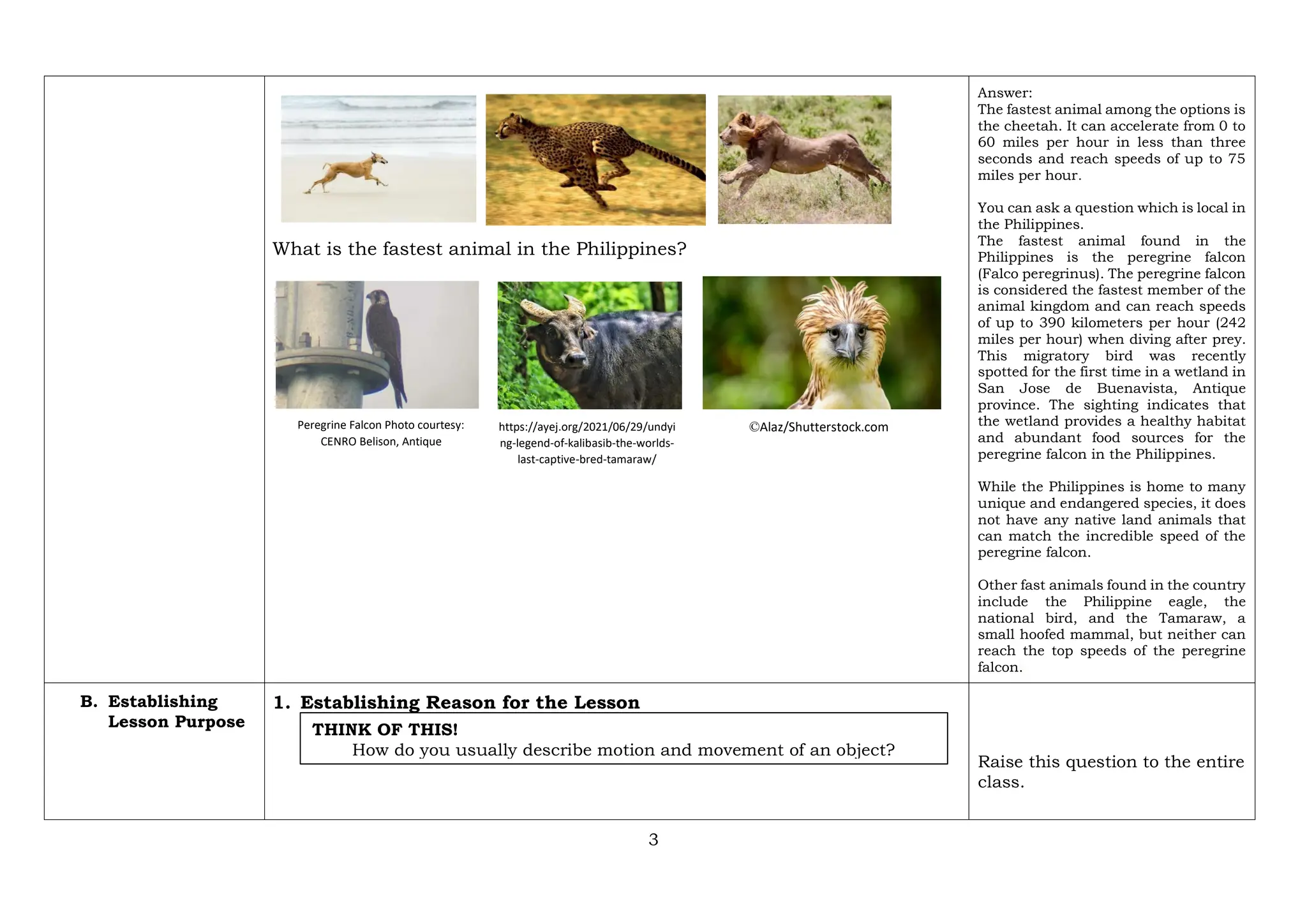 3
What is the fastest animal in the Philippines?
Answer:
The fastest animal among the options is
the cheetah. It can accelerate from 0 to
60 miles per hour in less than three
seconds and reach speeds of up to 75
miles per hour.
You can ask a question which is local in
the Philippines.
The fastest animal found in the
Philippines is the peregrine falcon
(Falco peregrinus). The peregrine falcon
is considered the fastest member of the
animal kingdom and can reach speeds
of up to 390 kilometers per hour (242
miles per hour) when diving after prey.
This migratory bird was recently
spotted for the first time in a wetland in
San Jose de Buenavista, Antique
province. The sighting indicates that
the wetland provides a healthy habitat
and abundant food sources for the
peregrine falcon in the Philippines.
While the Philippines is home to many
unique and endangered species, it does
not have any native land animals that
can match the incredible speed of the
peregrine falcon.
Other fast animals found in the country
include the Philippine eagle, the
national bird, and the Tamaraw, a
small hoofed mammal, but neither can
reach the top speeds of the peregrine
falcon.
B. Establishing
Lesson Purpose
1. Establishing Reason for the Lesson
Raise this question to the entire
class.
THINK OF THIS!
How do you usually describe motion and movement of an object?
Peregrine Falcon Photo courtesy:
CENRO Belison, Antique
©Alaz/Shutterstock.com
https://ayej.org/2021/06/29/undyi
ng-legend-of-kalibasib-the-worlds-
last-captive-bred-tamaraw/
 