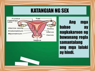 KATANGIAN NG SEX
Ang mga
babae ay
nagkakaroon ng
buwanang regla
samantalang
ang mga lalaki
ay hindi.
 