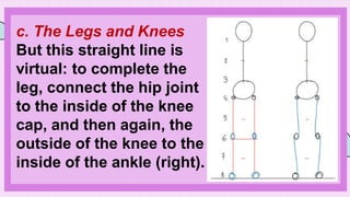 c. The Legs and Knees
But this straight line is
virtual: to complete the
leg, connect the hip joint
to the inside of the knee
cap, and then again, the
outside of the knee to the
inside of the ankle (right).
 
