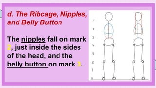 d. The Ribcage, Nipples,
and Belly Button
The nipples fall on mark
2, just inside the sides
of the head, and the
belly button on mark 3.
 