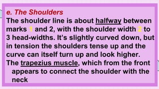 e. The Shoulders
The shoulder line is about halfway between
marks 1 and 2, with the shoulder width 2 to
3 head-widths. It’s slightly curved down, but
in tension the shoulders tense up and the
curve can itself turn up and look higher.
The trapezius muscle, which from the front
appears to connect the shoulder with the
neck
 