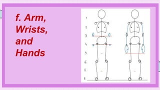f. Arm,
Wrists,
and
Hands
 