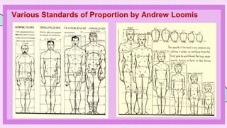 Various Standards of Proportion by Andrew Loomis
 