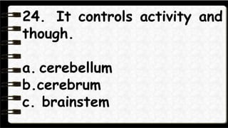 25. It controls automatic
functions like digestion, heart
rate and blood pressure.
a. cerebellum
b.cerebrum
c. brainstem
 
