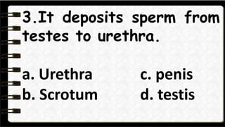 4.It carries sperm and urine
out the body.
a. Urethra c. penis
b. Scrotum d. testis
 