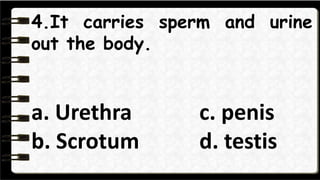 5. Ir provides liquid in
which sperm can swim.
a.Vas deferens
b.Glands
c.Urethra
d. Scrotum
 