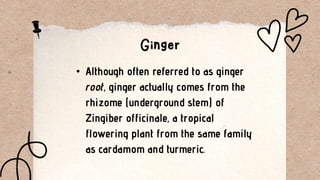 • Although often referred to as ginger
root, ginger actually comes from the
rhizome (underground stem) of
Zingiber officinale, a tropical
flowering plant from the same family
as cardamom and turmeric.
 