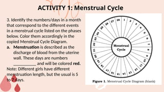 Menstrual Cycle Notes.pdf Science 10 Q3_Week 2_Menstrual Cycle.pptx