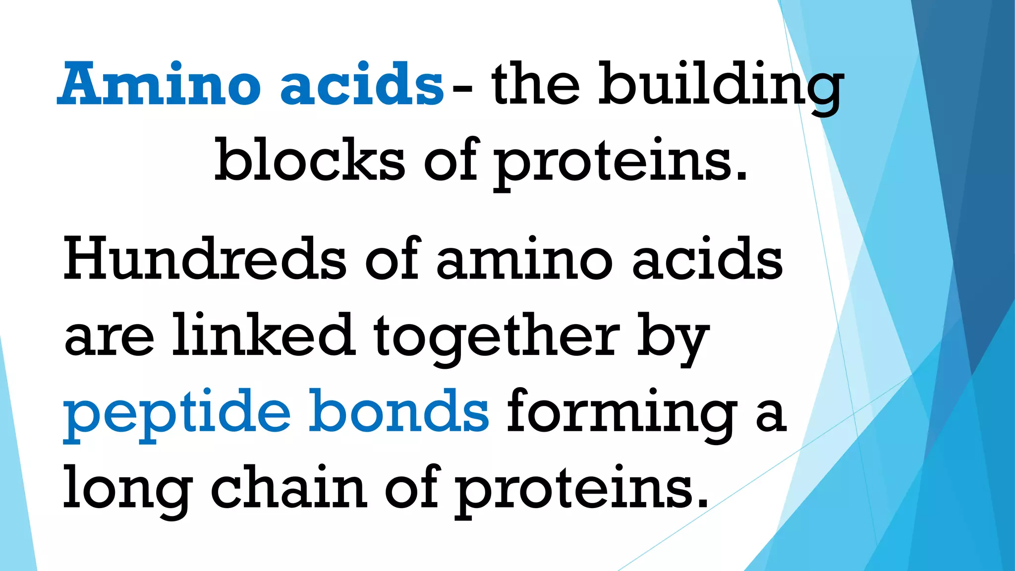 Hundreds of amino acids
are linked together by
peptide bonds forming a
long chain of proteins.
- the building
blocks of proteins.
Amino acids
 