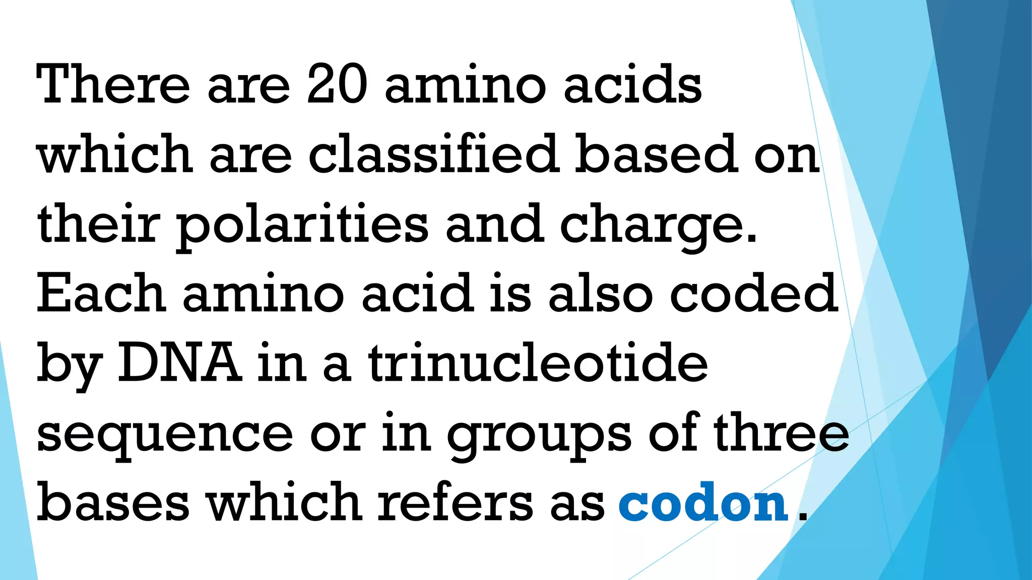There are 20 amino acids
which are classified based on
their polarities and charge.
Each amino acid is also coded
by DNA in a trinucleotide
sequence or in groups of three
bases which refers as .
codon
 
