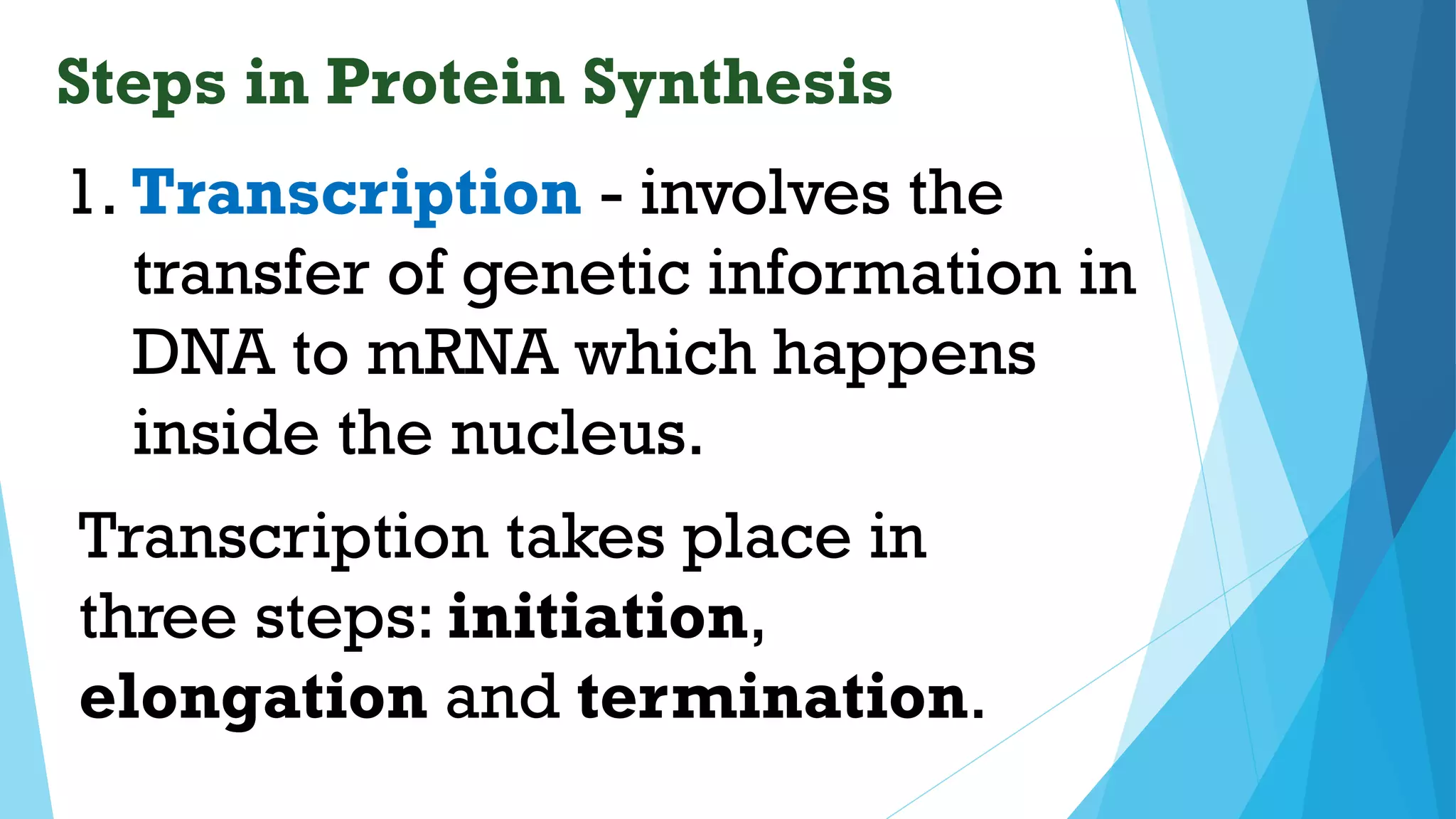 Steps in Protein Synthesis
- involves the
transfer of genetic information in
DNA to mRNA which happens
inside the nucleus.
1. Transcription
Transcription takes place in
three steps: initiation,
elongation and termination.
 