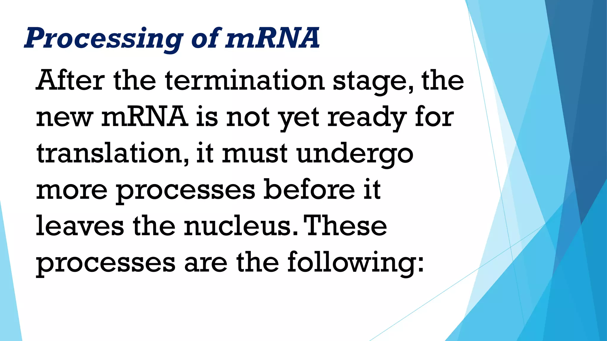 After the termination stage, the
new mRNA is not yet ready for
translation, it must undergo
more processes before it
leaves the nucleus.These
processes are the following:
Processing of mRNA
 