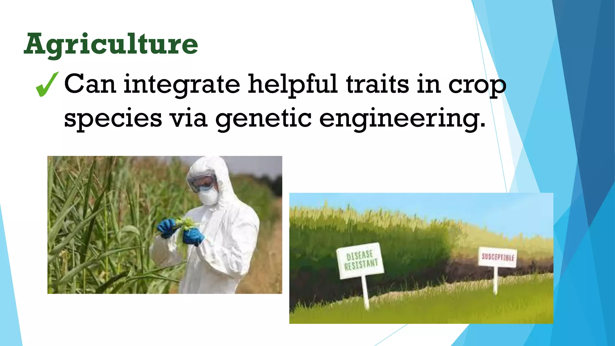 Can integrate helpful traits in crop
species via genetic engineering.
Agriculture
 