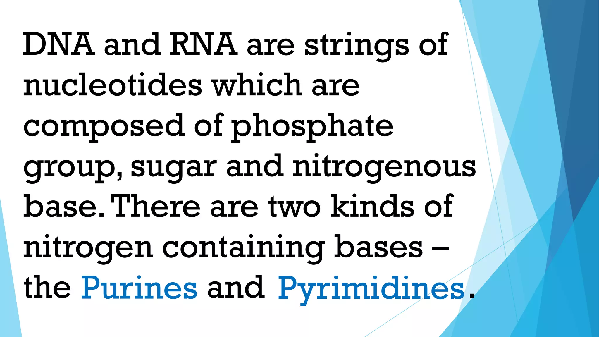 DNA and RNA are strings of
nucleotides which are
composed of phosphate
group, sugar and nitrogenous
base.There are two kinds of
nitrogen containing bases –
the and .
Purines Pyrimidines
 