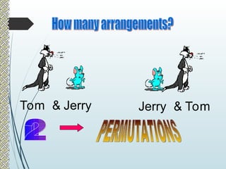 Tom & Jerry Jerry & Tom
 