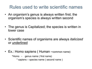 Q4-Classification-of-Living-Things.pptx