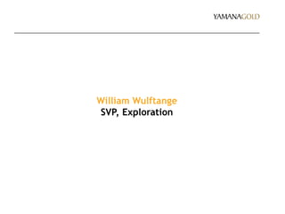 William Wulftange
SVP, Exploration
 