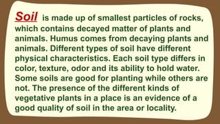 SOIL TYPES AND ITS CHARARACTERISTICS AND IMPORTANCE TO HUMANS, PLANTS ...